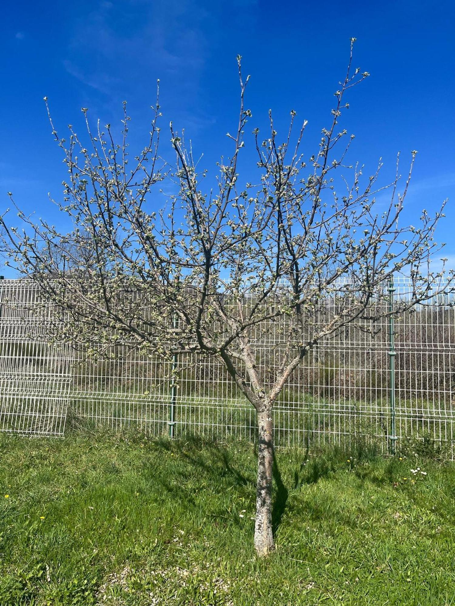 Casas Rurales Cuatro Valles Naredo de Fenar Εξωτερικό φωτογραφία