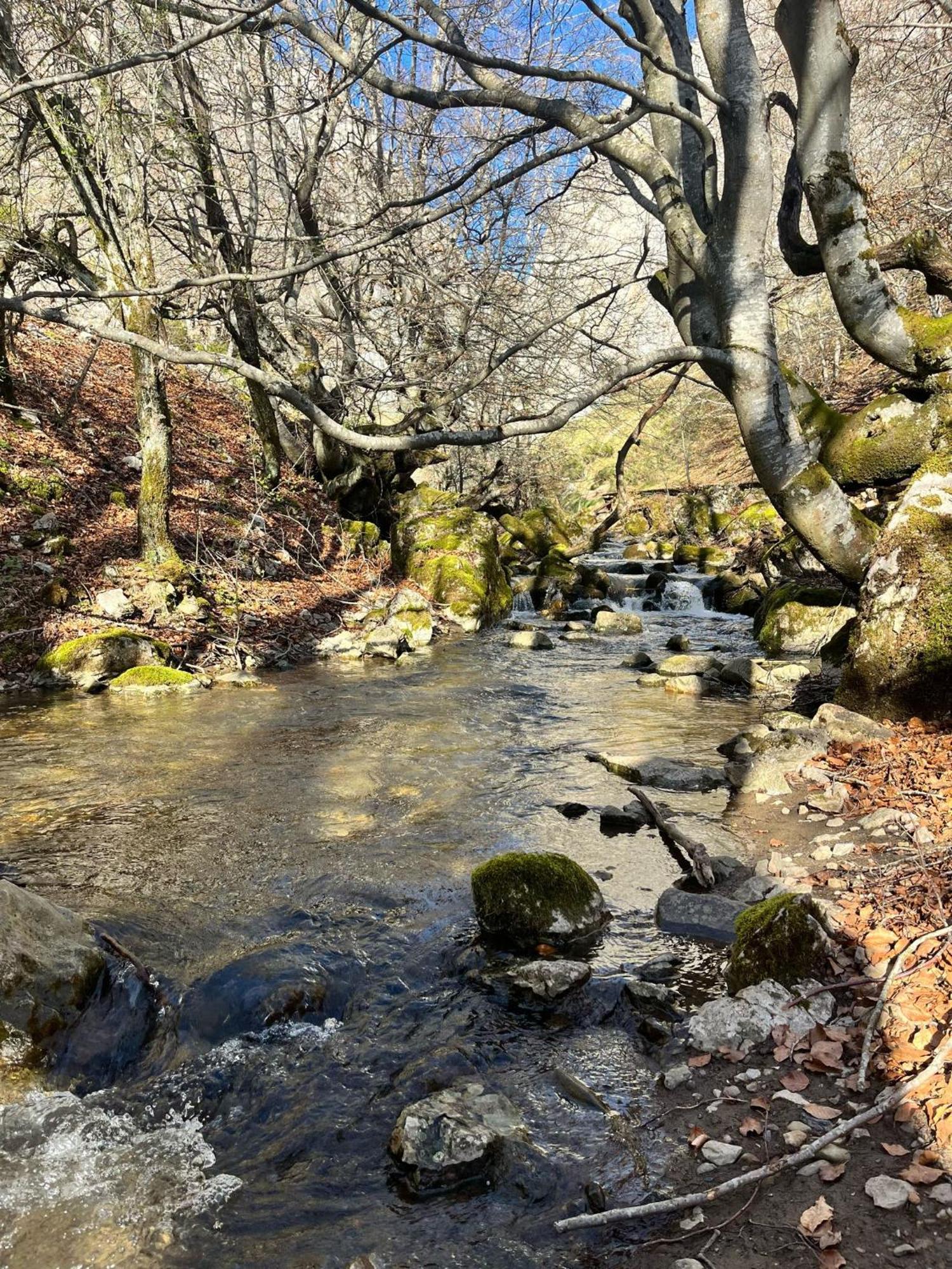 Casas Rurales Cuatro Valles Naredo de Fenar Εξωτερικό φωτογραφία