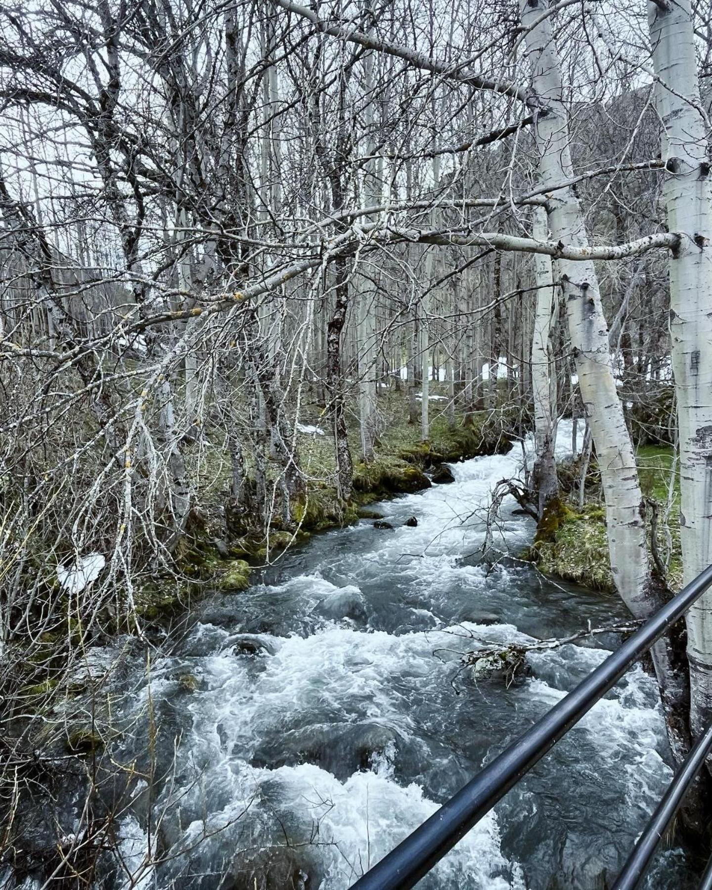 Casas Rurales Cuatro Valles Naredo de Fenar Εξωτερικό φωτογραφία