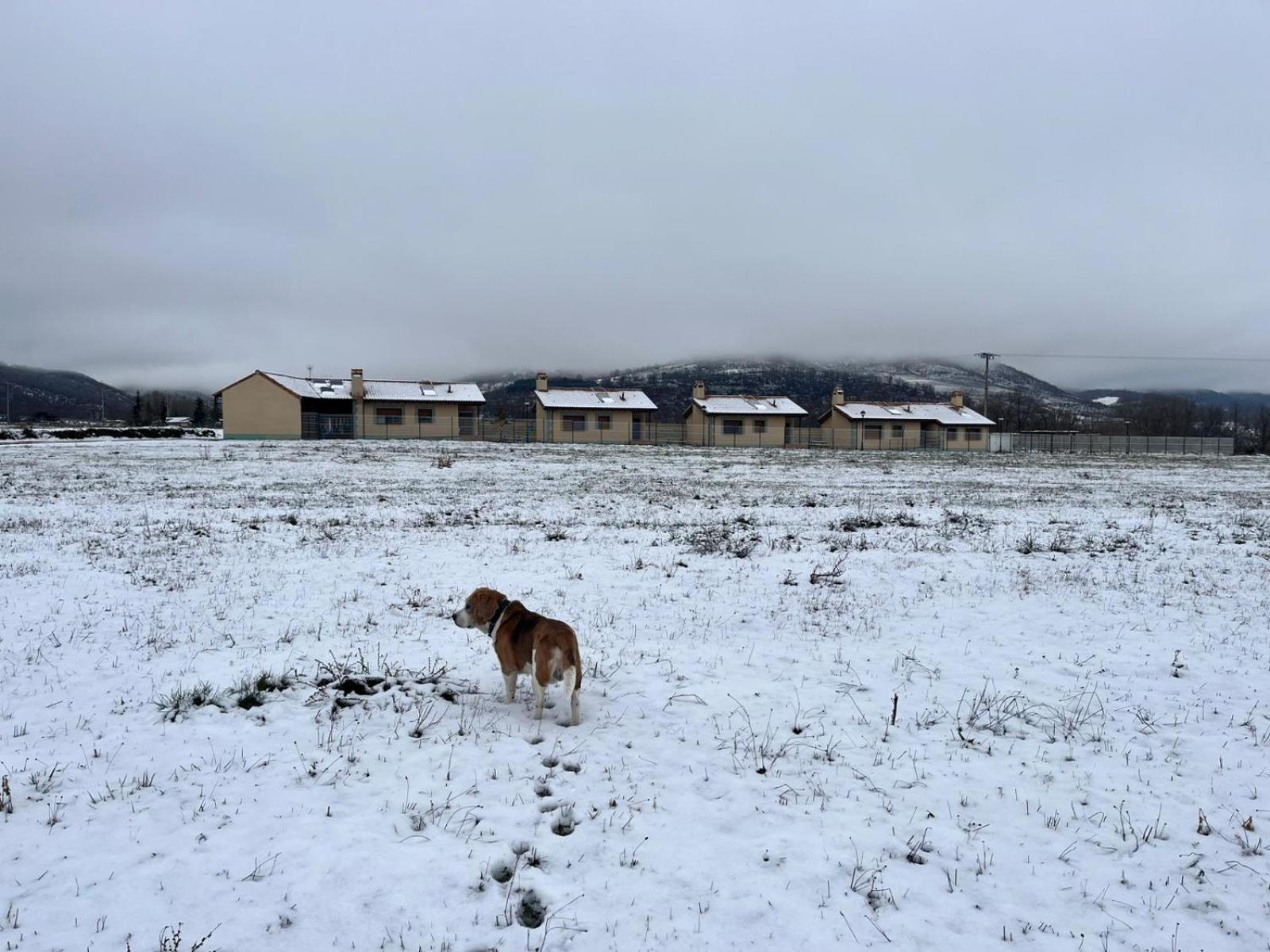 Casas Rurales Cuatro Valles Naredo de Fenar Εξωτερικό φωτογραφία